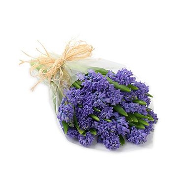 Flower delivery. Bouquet of 17fragrant blue hyacinths in decorative packaging.